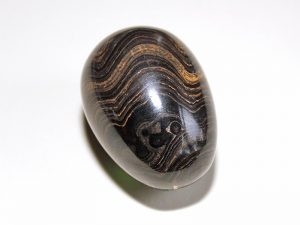 Highly polished Stromatolite egg approx height 45 mm.