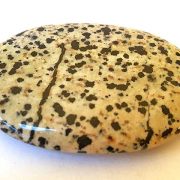 Highly polished Dalmatian Jasper palm stone 70 x 40 mm. The palm stones are made from the best grade rough materials to produce a well finished, highly polished product. Used by crystal healers and general therapists for massage and similar treatments. Also perfect for collectors. Being a natural product these stones may have natural blemishes and vary in colour and banding. www.naturalhealingshop.co.uk based in Nuneaton for crystals, spiritual healing, meditation, relaxation, spiritual development,workshops.