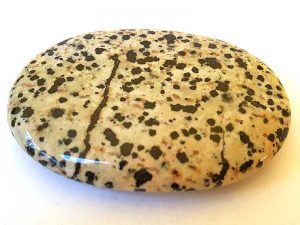 Highly polished Dalmatian Jasper palm stone 70 x 40 mm. The palm stones are made from the best grade rough materials to produce a well finished, highly polished product. Used by crystal healers and general therapists for massage and similar treatments. Also perfect for collectors. Being a natural product these stones may have natural blemishes and vary in colour and banding. www.naturalhealingshop.co.uk based in Nuneaton for crystals, spiritual healing, meditation, relaxation, spiritual development,workshops.