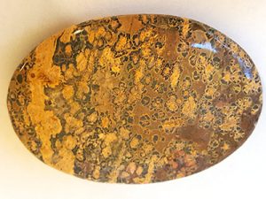Highly polished Leopardskin Jasper palm stone 70 x 40 mm. The palm stones are made from the best grade rough materials to produce a well finished, highly polished product. Used by crystal healers and general therapists for massage and similar treatments. Also perfect for collectors. Being a natural product these stones may have natural blemishes and vary in colour and banding. www.naturalhealingshop.co.uk based in Nuneaton for crystals, spiritual healing, meditation, relaxation, spiritual development,workshops.