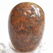 Highly polished Leopardskin Jasper egg approximate height 45 mm. Beautiful to collect or hold and meditate with. Being a natural product these stones may have natural blemishes and vary in colour and banding. www.naturalhealingshop.co.uk based in Nuneaton for crystals, spiritual healing, meditation, relaxation, spiritual development,workshops.