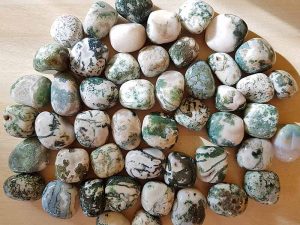 Highly Polished Tree Jasper stone size 20-30 mm. Being a natural poduct these stones may have natural blemishes and vary in colour and banding. www.naturalhealingshop.co.uk based in Nuneaton for crystals, spiritual healing, meditation, relaxation, spiritual development,workshops.