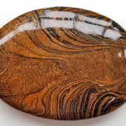 Highly polished Stromatolite palm stone 70 x 40 mm.