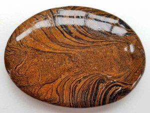Highly polished Stromatolite palm stone 70 x 40 mm.