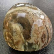 Petrified Wood approx sizes 40 x 35 x 30 mm. Being a natural product these stones may have natural blemishes and vary in colour and banding. www.naturalhealingshop.co.uk based in Nuneaton for crystals, spiritual healing, meditation, relaxation, spiritual development,workshops.