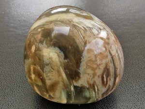 Petrified Wood approx sizes 40 x 35 x 30 mm. Being a natural product these stones may have natural blemishes and vary in colour and banding. www.naturalhealingshop.co.uk based in Nuneaton for crystals, spiritual healing, meditation, relaxation, spiritual development,workshops.