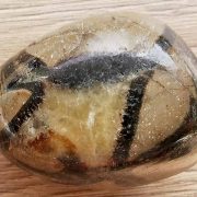 Septarian pebble approx sizes 45 x 35 x 30 mm. Being a natural product these stones may have natural blemishes and vary in colour and banding. www.naturalhealingshop.co.uk based in Nuneaton for crystals, spiritual healing, meditation, relaxation, spiritual development,workshops.
